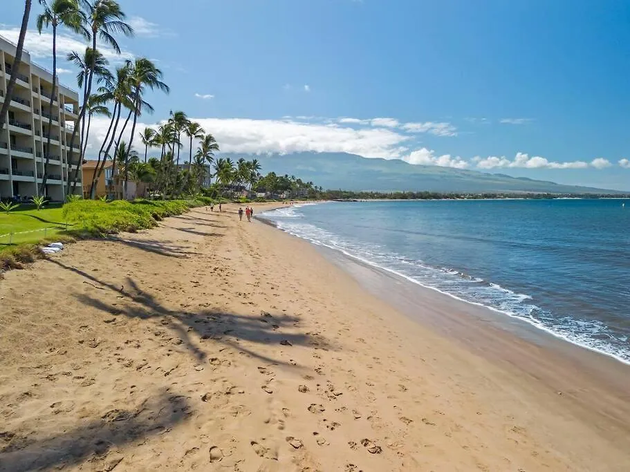 Sugar Beach Resort 531- Direct Oceanfront Gem At Sugar Beach Resort Kihei United States