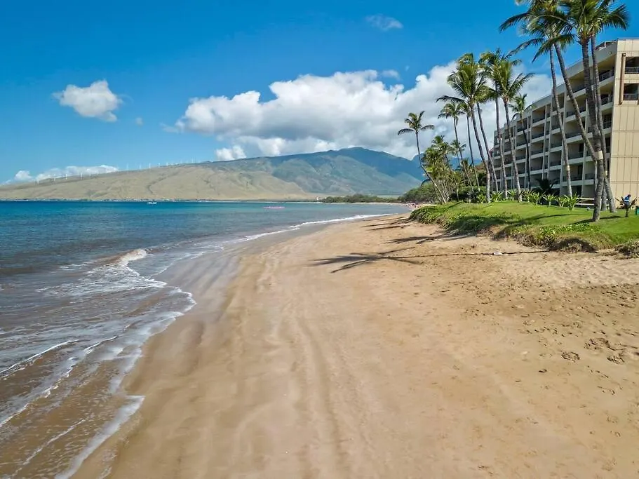 Sugar Beach Resort 531- Direct Oceanfront Gem At Sugar Beach Resort Kihei 0*,  United States